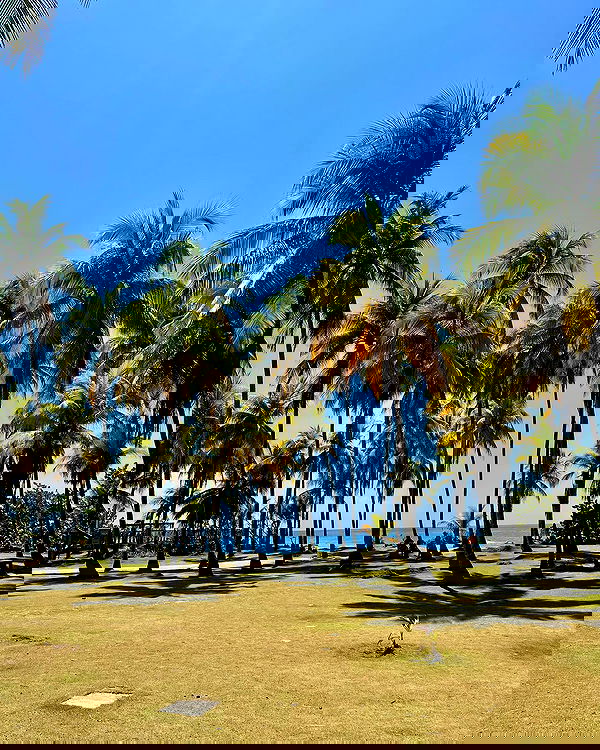 roni__moalem image ~ Altpins