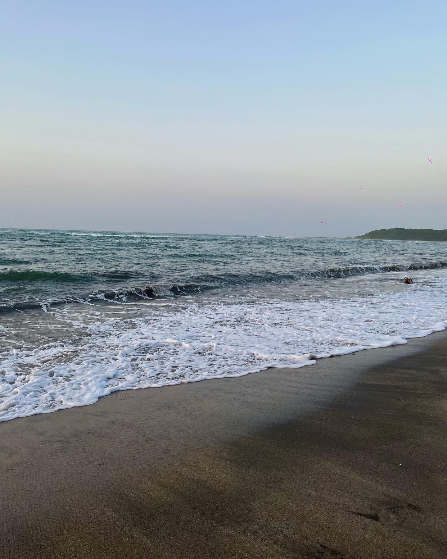 roni__moalem instagram image archive image