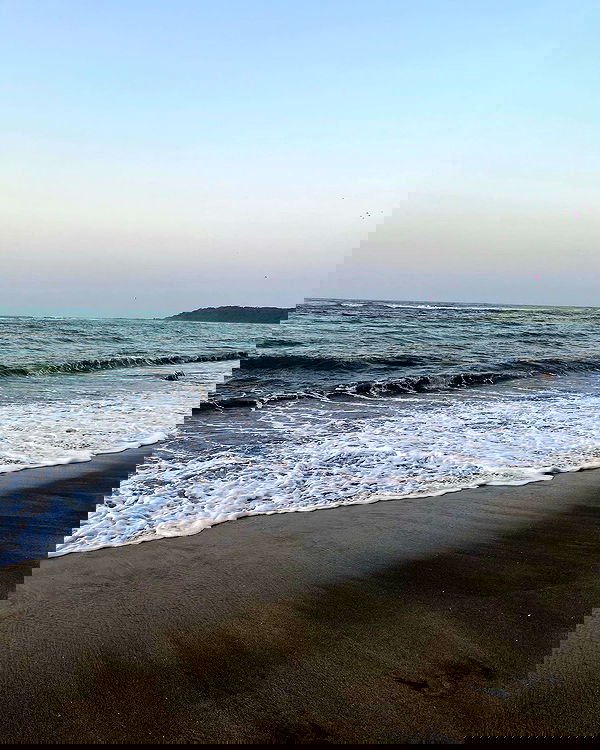 roni__moalem image ~ Altpins