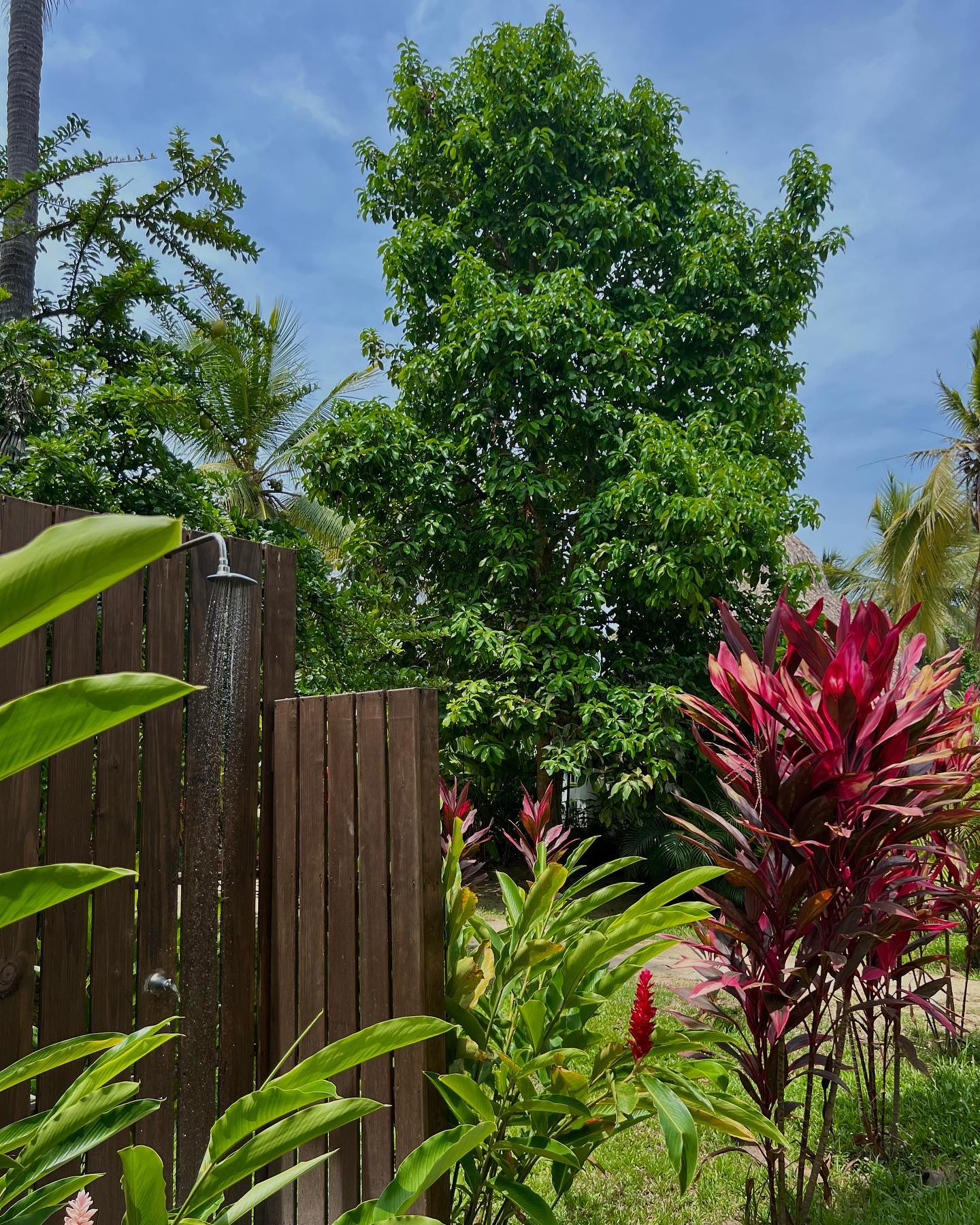 roni__moalem instagram image archive image