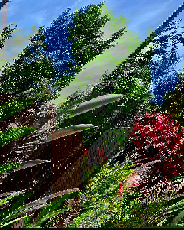 roni__moalem image ~ Altpins