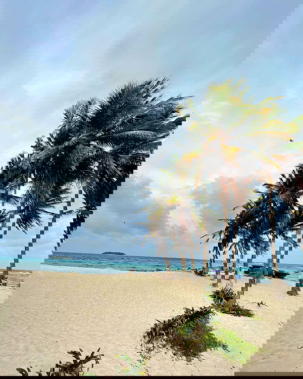 roni__moalem image ~ Altpins