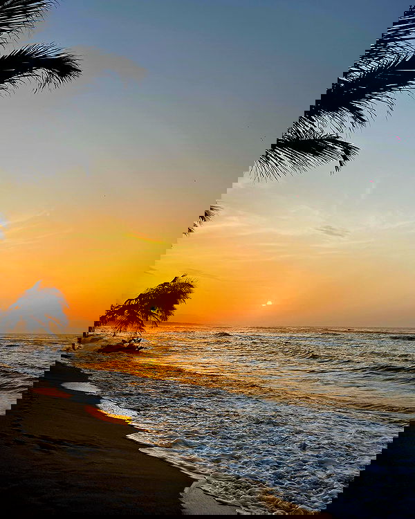 roni__moalem image ~ Altpins