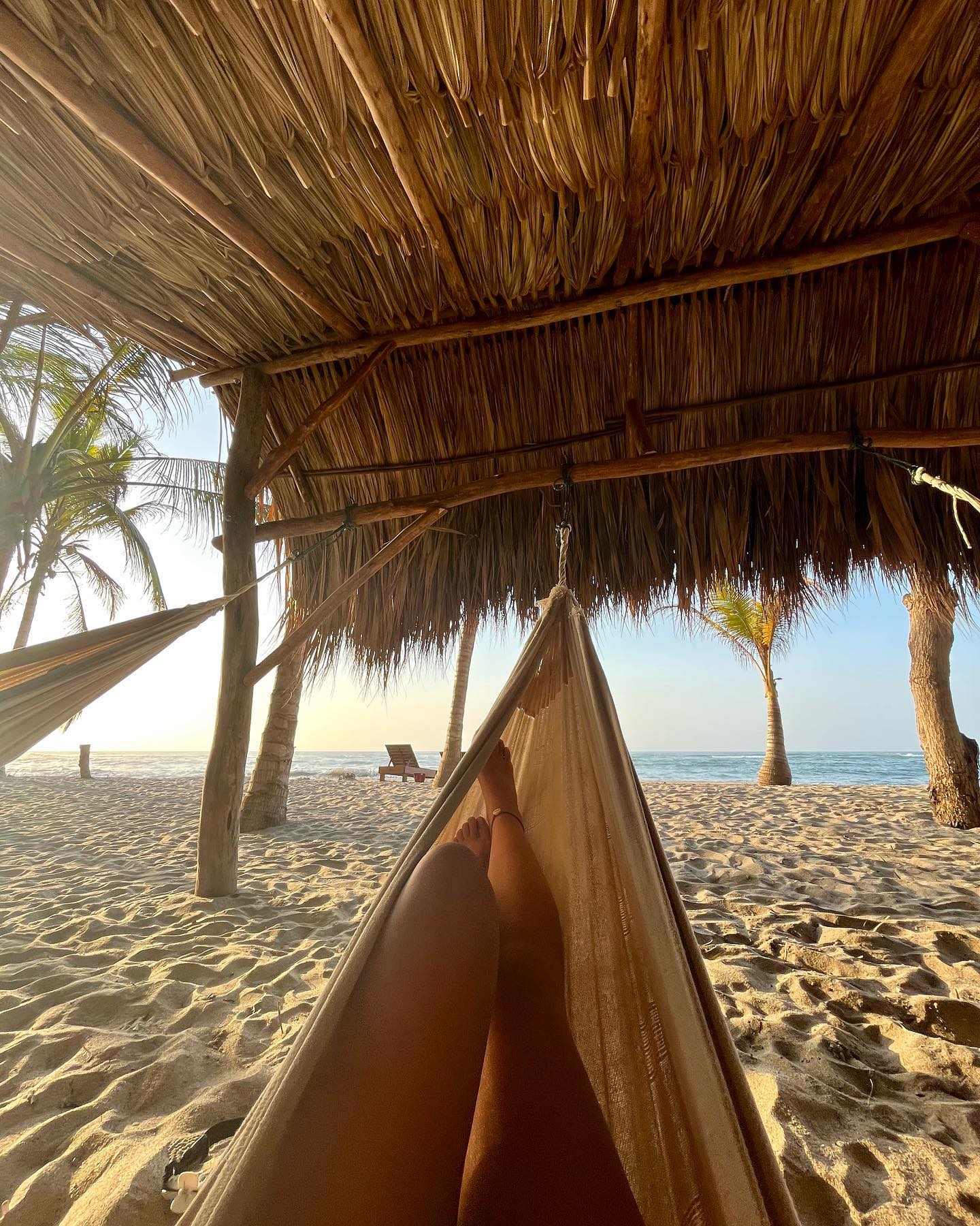 roni__moalem instagram image archive image