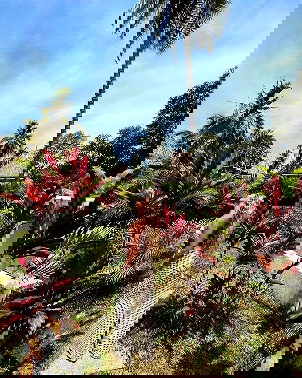 roni__moalem image ~ Altpins