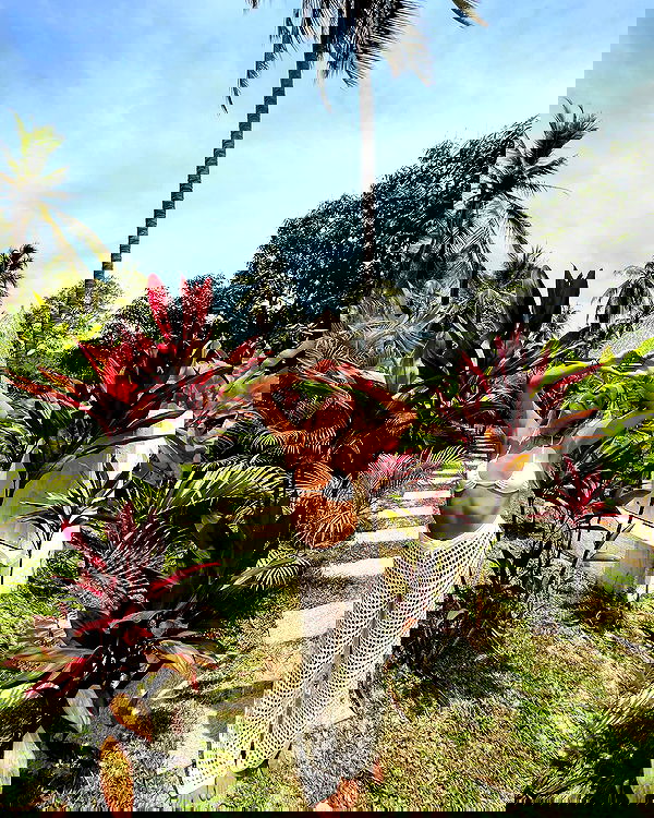 roni__moalem image ~ Altpins