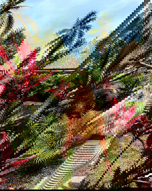 roni__moalem image ~ Altpins