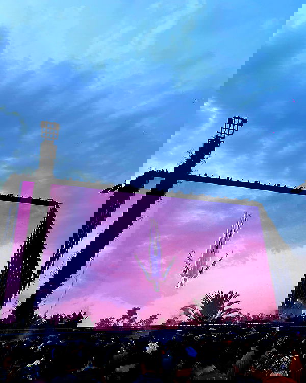 roni__moalem image ~ Altpins