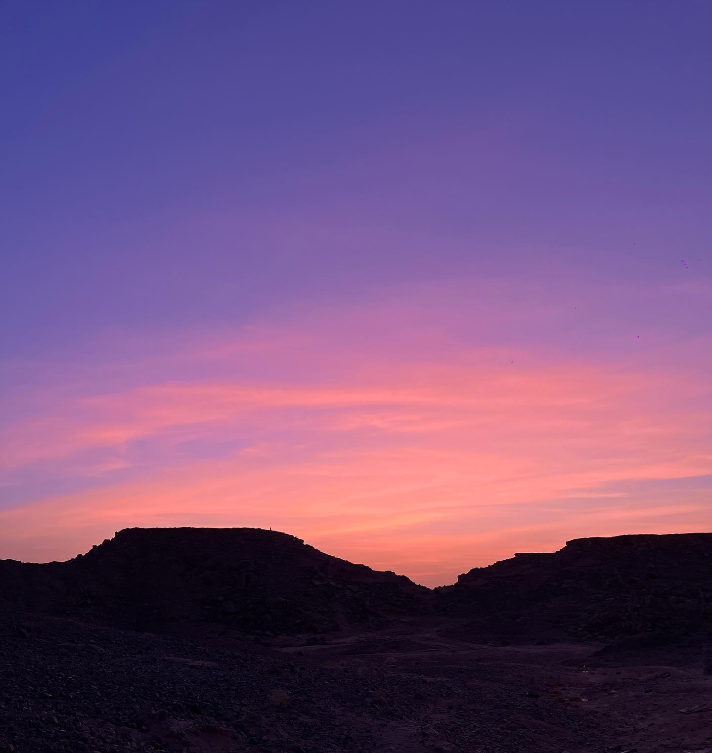 roni__moalem instagram image archive image