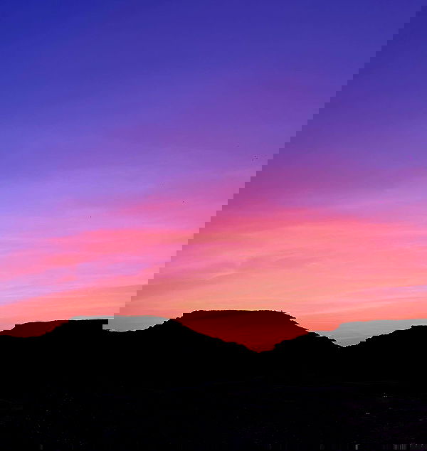 roni__moalem image ~ Altpins