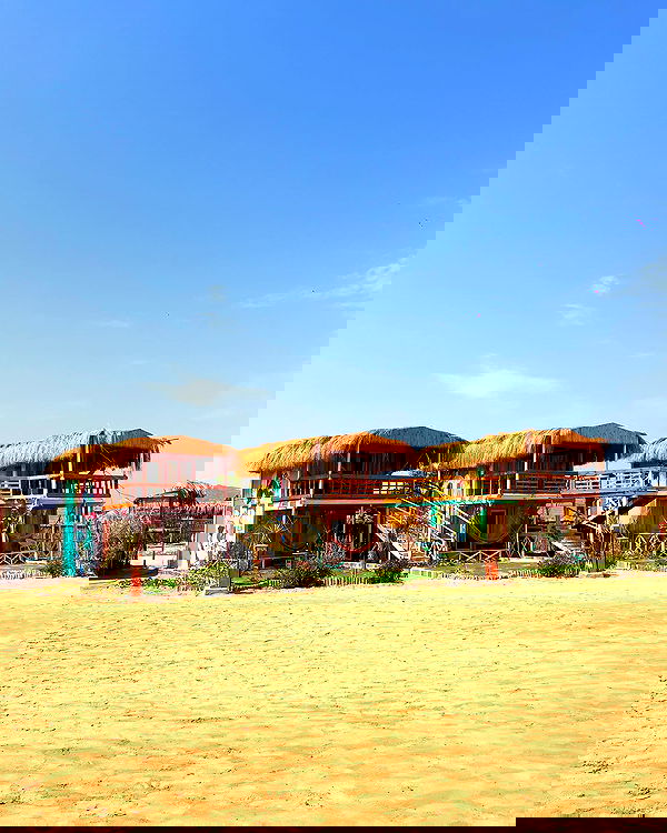 roni__moalem image ~ Altpins