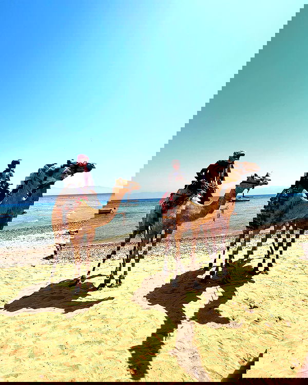 roni__moalem image ~ Altpins