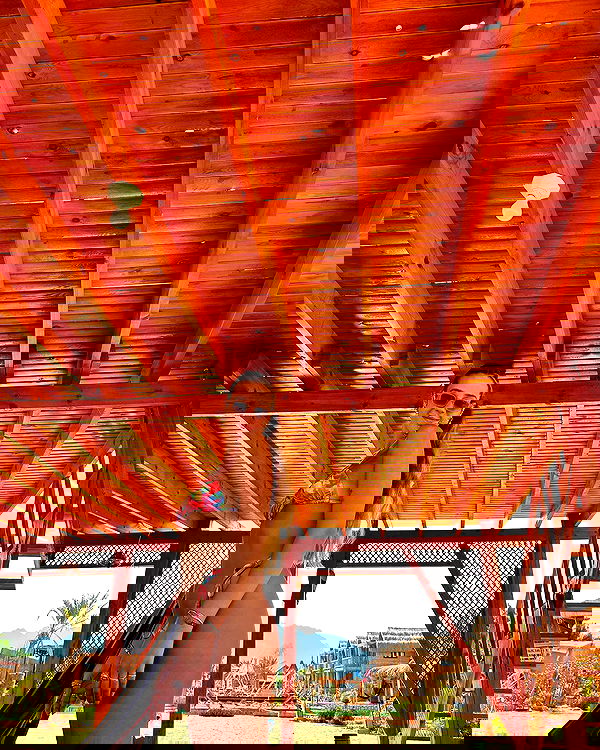 roni__moalem image ~ Altpins