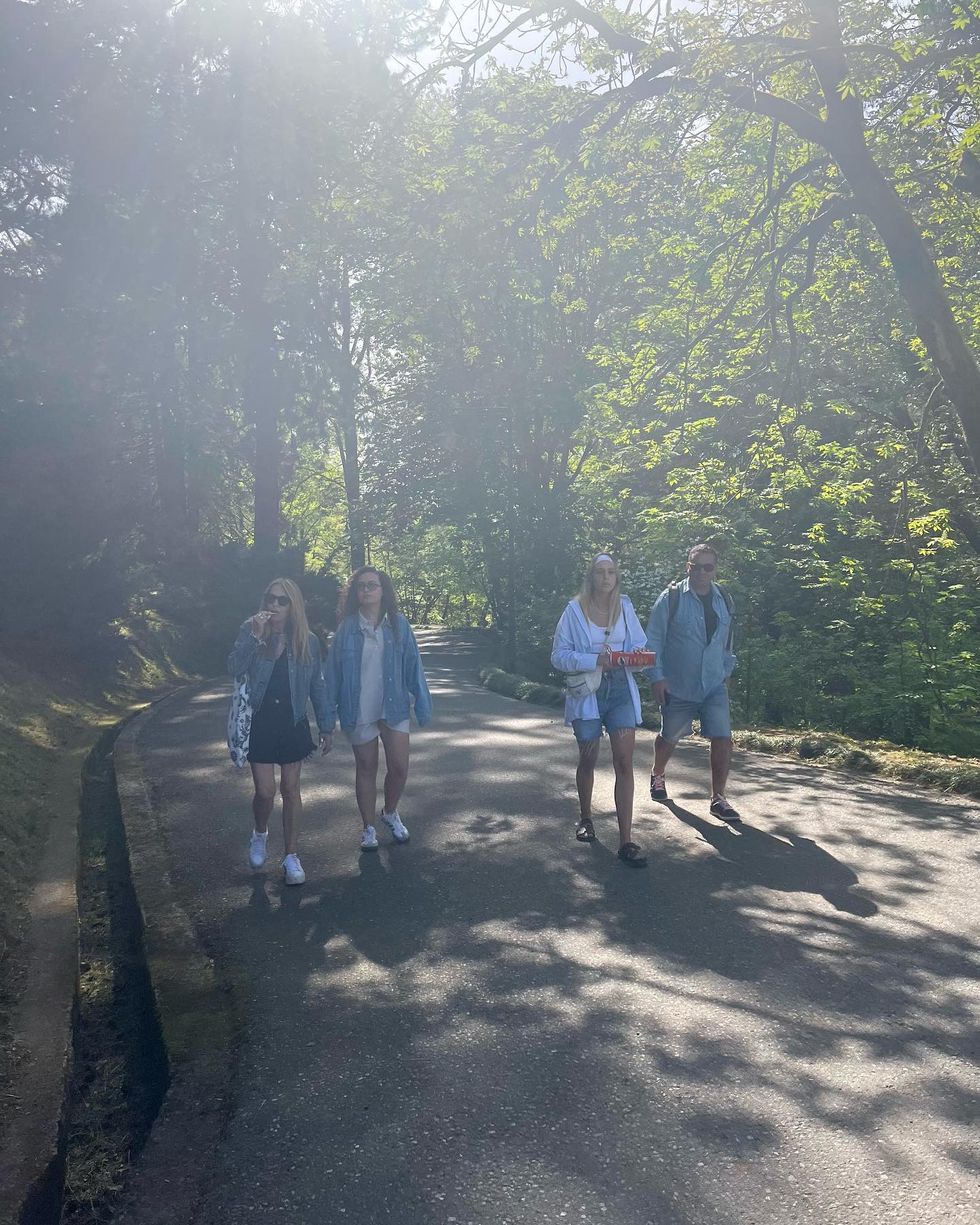 roni__moalem instagram image archive image