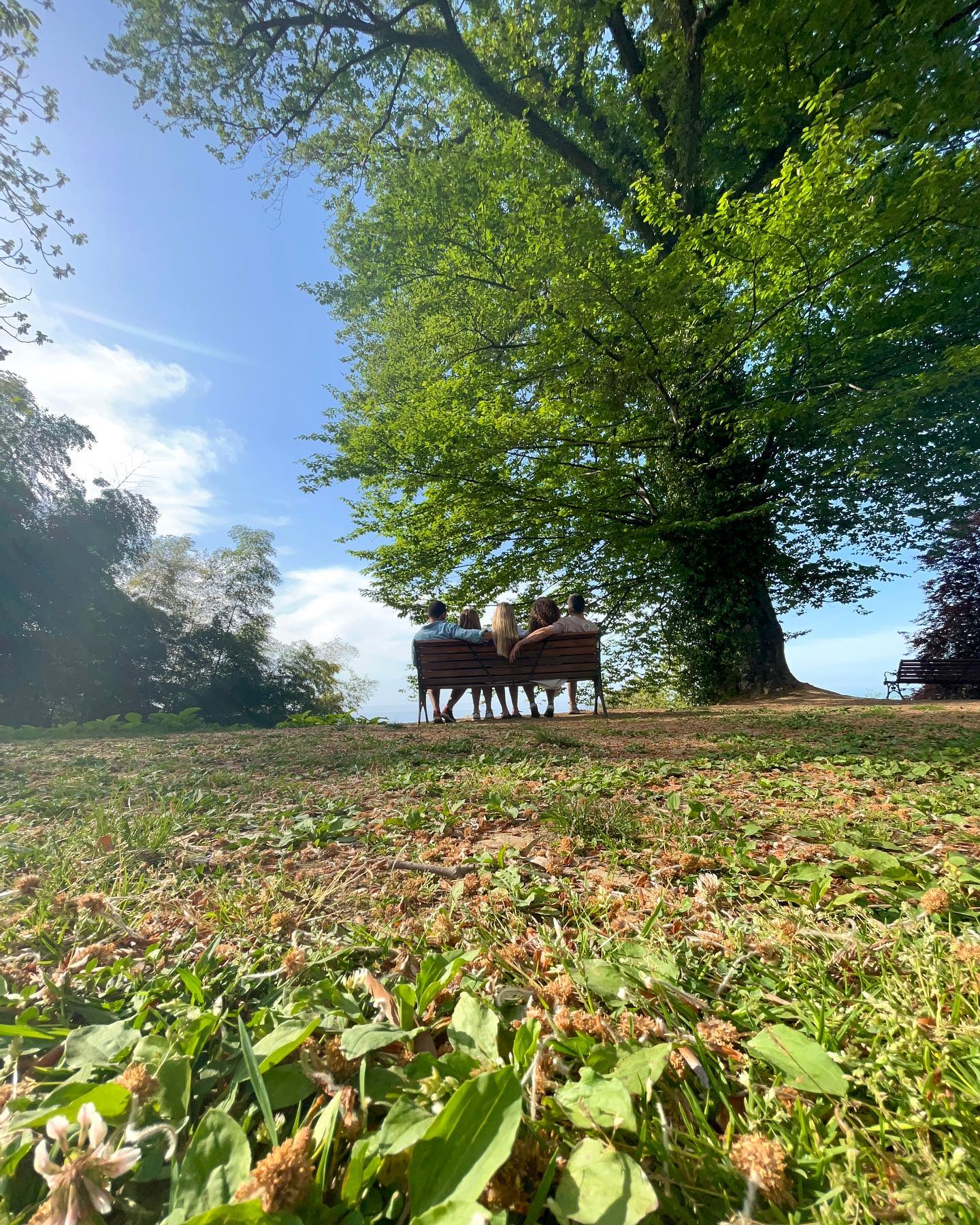 roni__moalem instagram image archive image