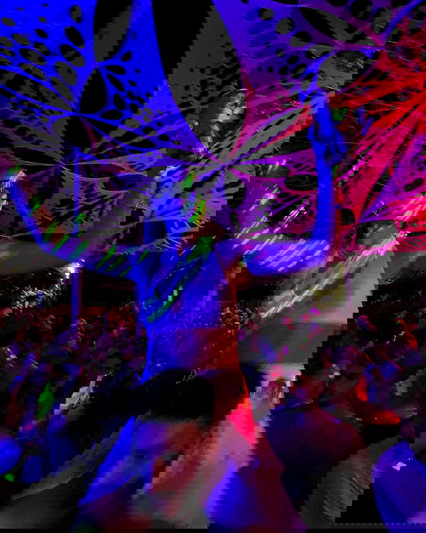 roni__moalem image ~ Altpins