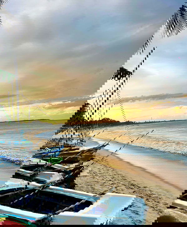 roni__moalem image ~ Altpins