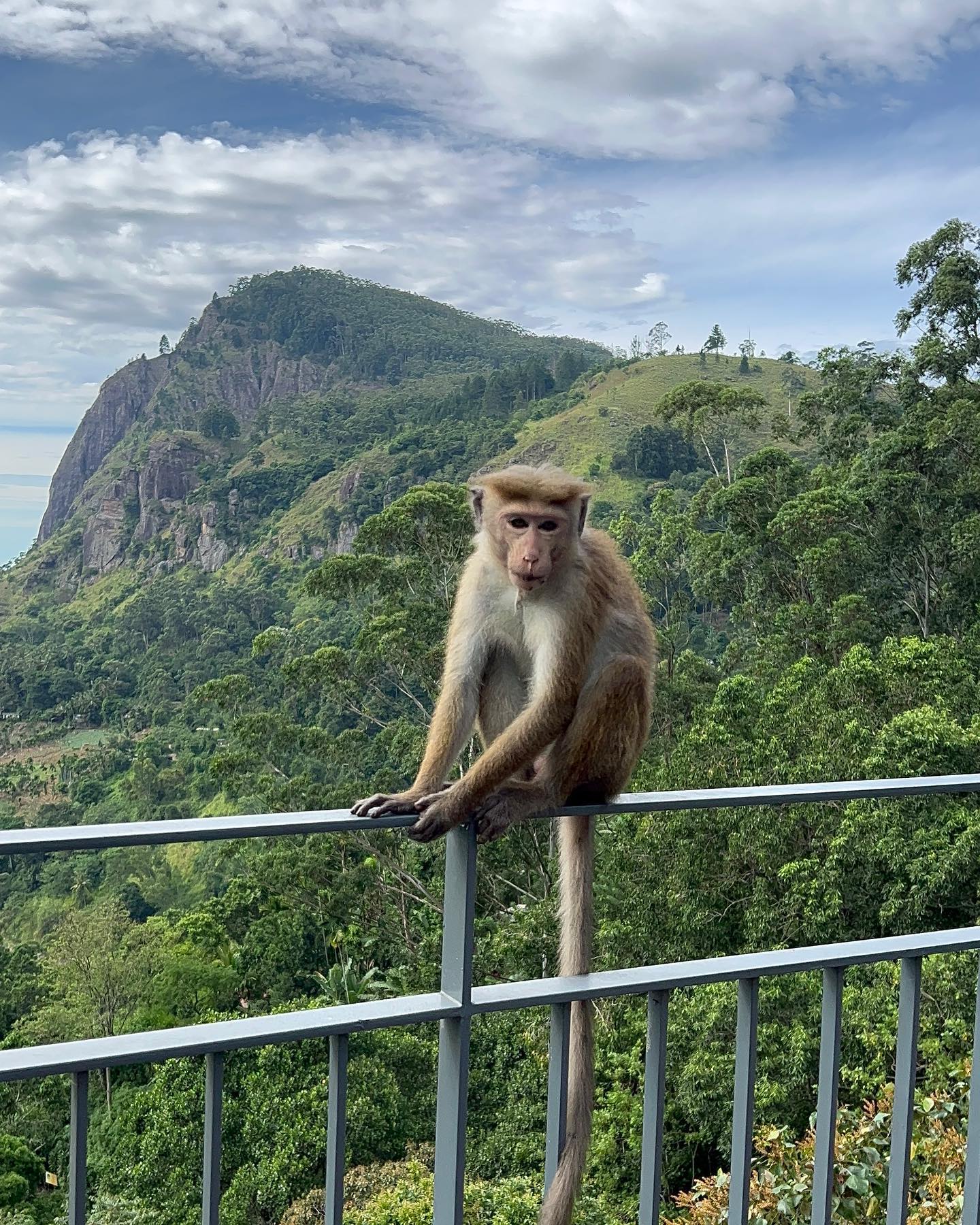 roni__moalem instagram image archive image