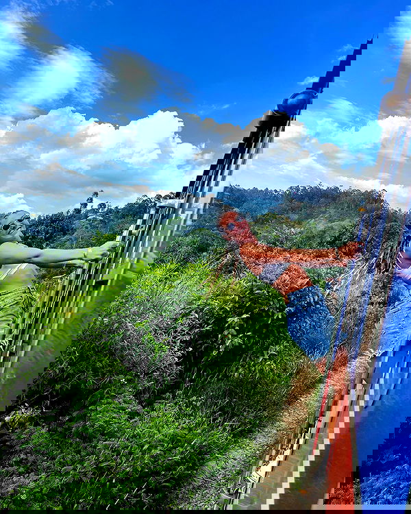 roni__moalem image ~ Altpins