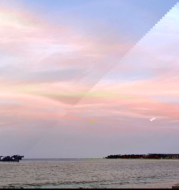 roni__moalem image ~ Altpins