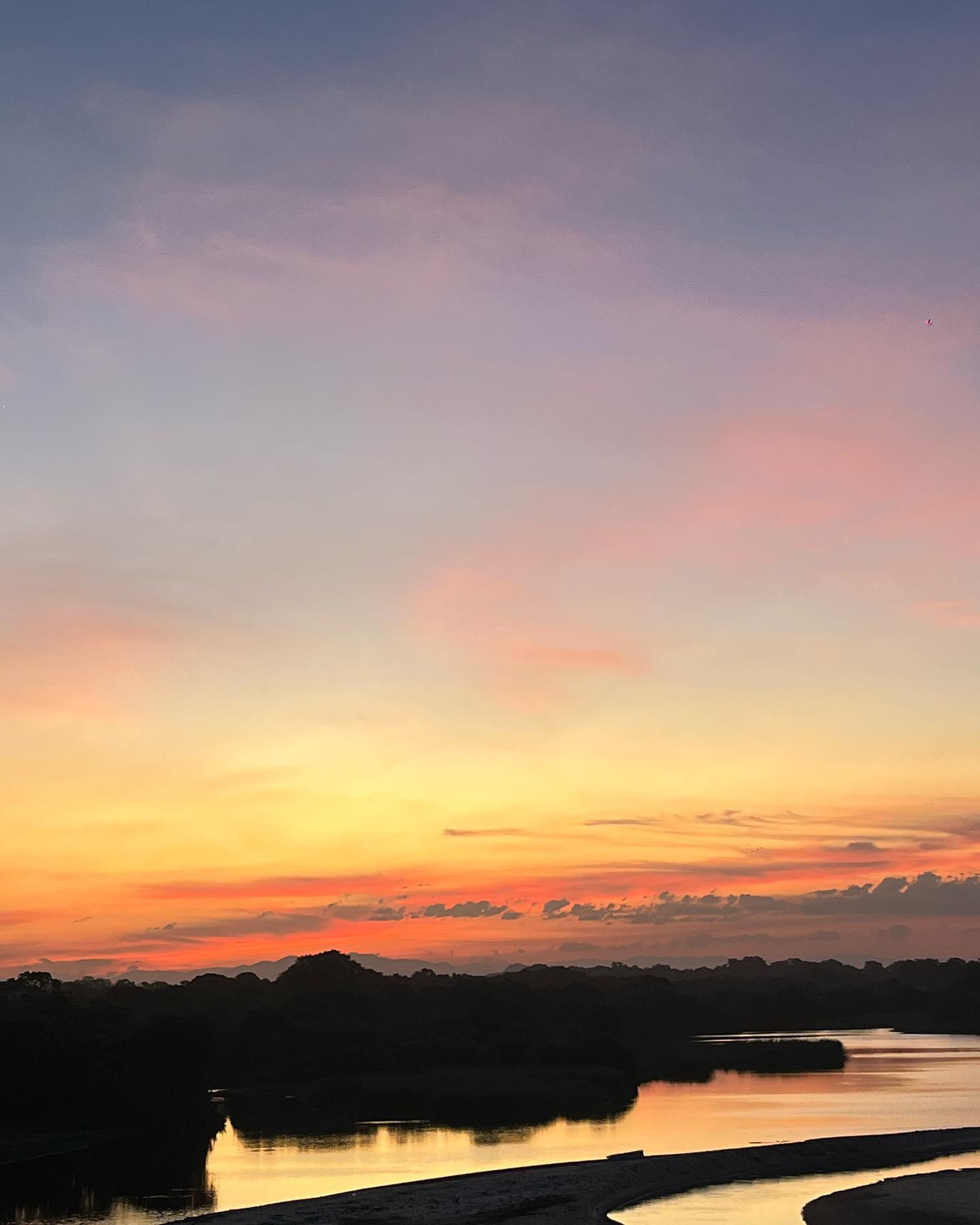 roni__moalem instagram image archive image