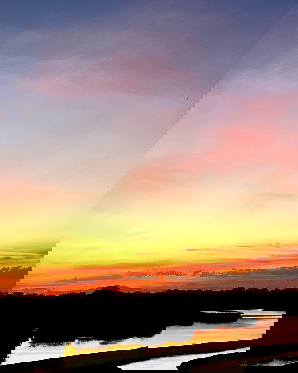 roni__moalem image ~ Altpins