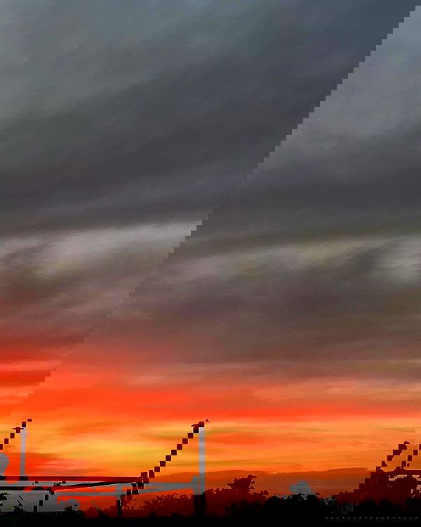 roni__moalem image ~ Altpins