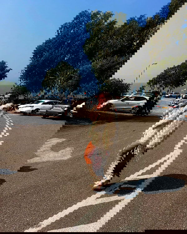 roni__moalem image ~ Altpins