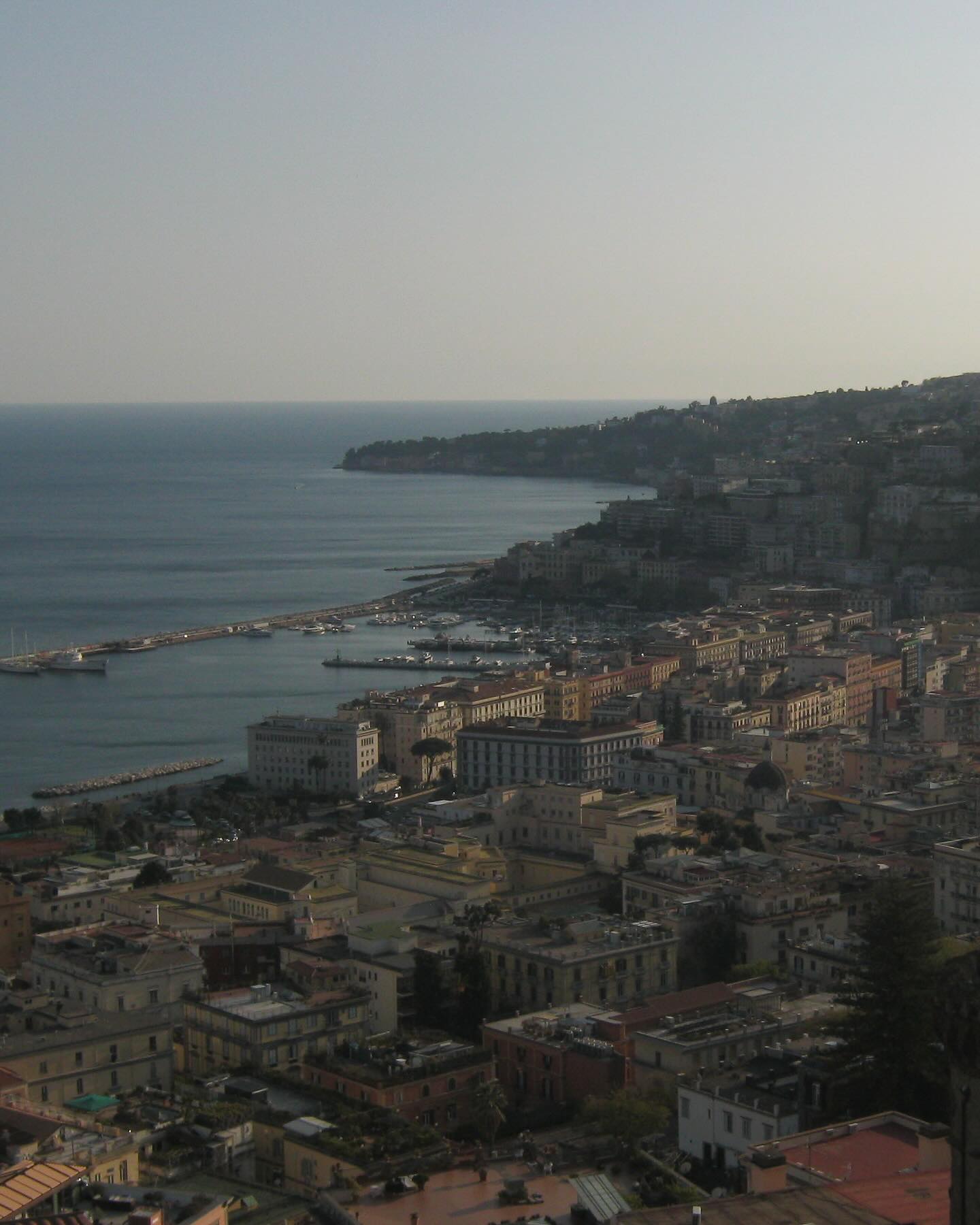 roni__moalem instagram image archive image