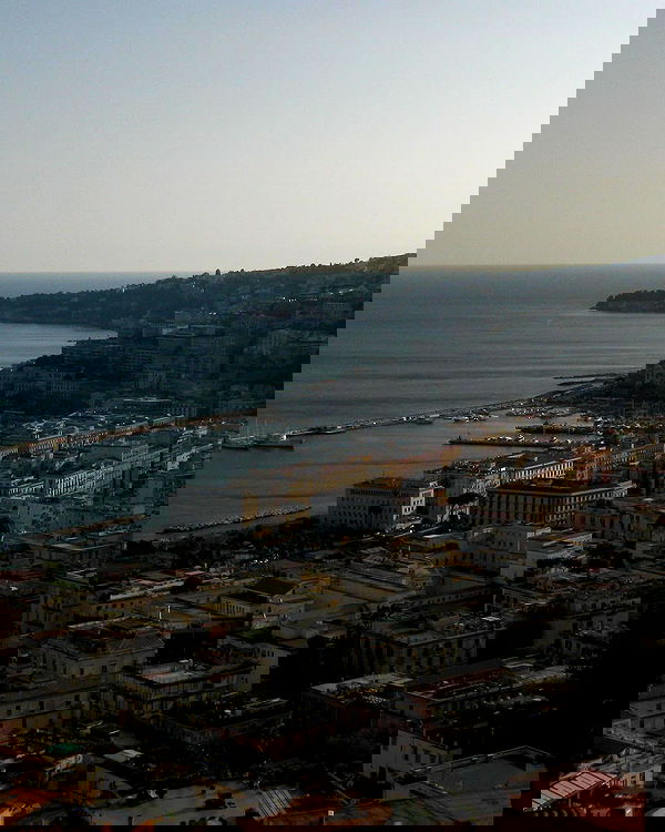 roni__moalem image ~ Altpins