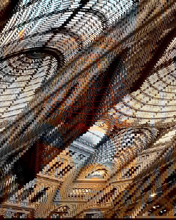 roni__moalem image ~ Altpins