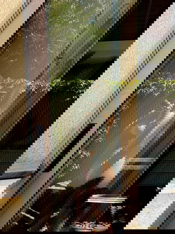 roni__moalem image ~ Altpins