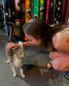 roni_ackerman Altpins Profile Picture