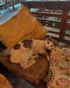 roni_ackerman Altpins Profile Picture