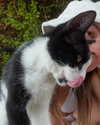 roni_ackerman Altpins Profile Picture