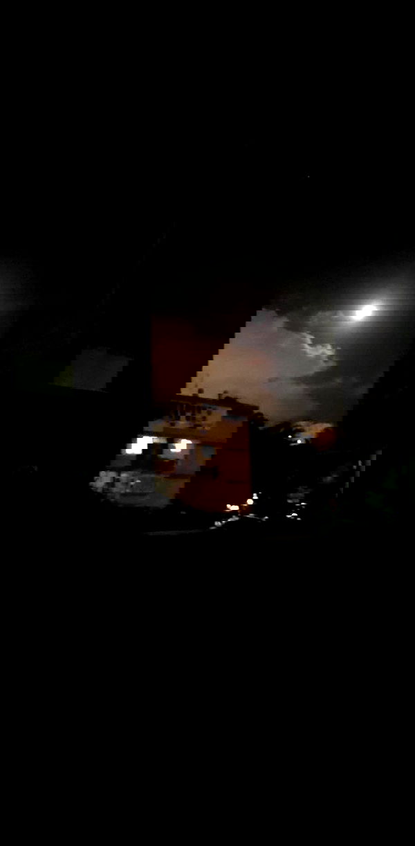 rose_xanne rose_xanne archive image