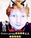 rottenpeachcorpse Altpins Profile Picture