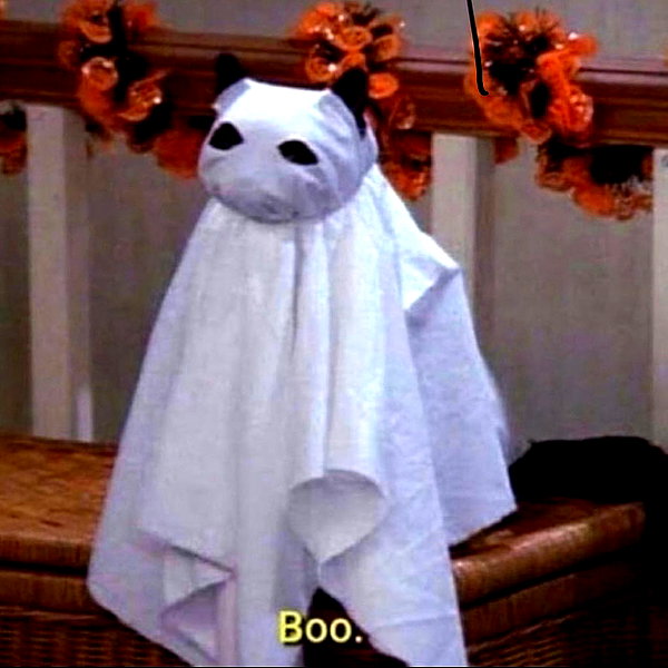 rottenpeachcorpse instagram image archive image