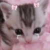 rottenpeachcorpse Altpins Profile Picture