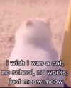 rottenpeachcorpse Altpins Profile Picture