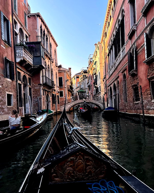 rozhinsafffar instagram image archive image