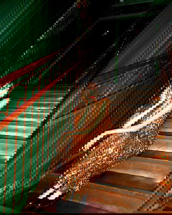 rr0mii rr0mii archive image