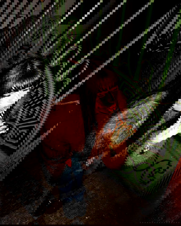 rr0mii rr0mii archive image