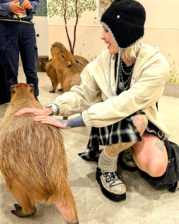 runabyt3 instagram image archive image