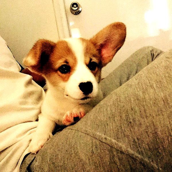 rynhanx instagram image archive image