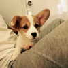 rynhanx Altpins Profile Picture