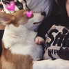 rynhanx Altpins Profile Picture