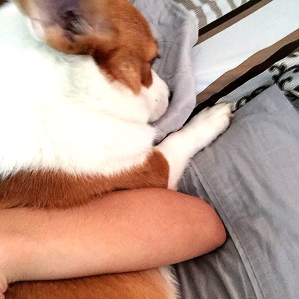 rynhanx instagram image archive image