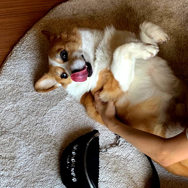 rynhanx instagram image archive image