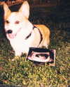 rynhanx Altpins Profile Picture
